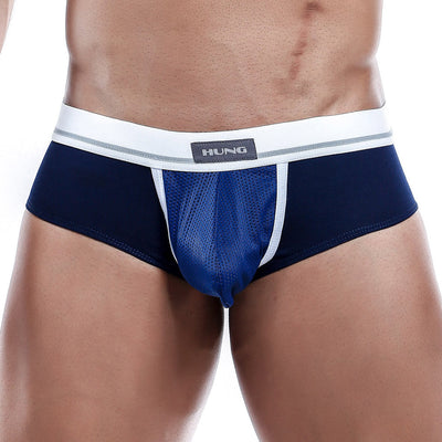 Hung HGJ002 Brief